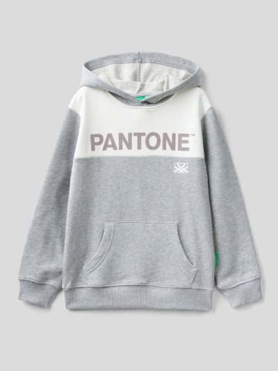 Kids' Benetton Benettonxpantone™ Hoodie Grey | NZ952936