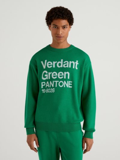Men's Benetton Benettonxpantone™ Inlay Crew Neck Sweaters Green | NZ321073